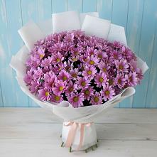 Букет цветов из:  Хризантемы #REPLACE_PRED# Становом