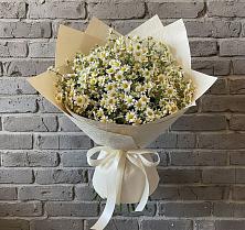 Букет цветов из:  Ромашки в Становом