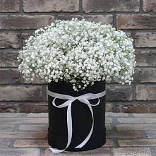 Цветочная композиция из Гипсофила в шляпной коробке в Становом