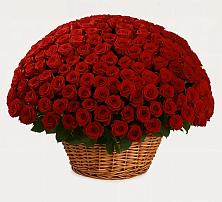 Премиум букет из: Розы в Становом